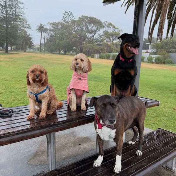 573671612_18057682418536929_6168294584438383278_n